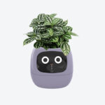 GrowPal Smart Plant Robot- Your AI-Powered Plant Care Robot