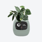 GrowPal Smart Plant Robot- Your AI-Powered Plant Care Robot