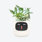 GrowPal Smart Plant Robot- Your AI-Powered Plant Care Robot
