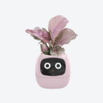 GrowPal Smart Plant Robot- Your AI-Powered Plant Care Robot