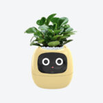 GrowPal Smart Plant Robot- Your AI-Powered Plant Care Robot
