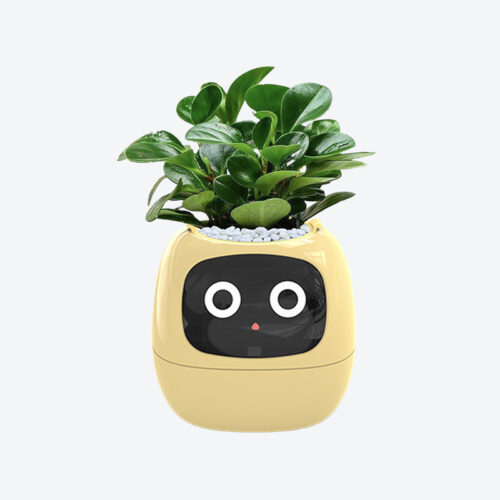 GrowPal Smart Plant Robot- Your AI-Powered Plant Care Robot