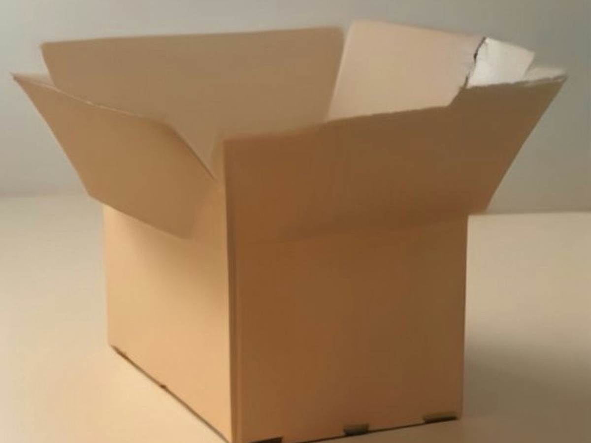 Corrugated shipper box, custom print — sourced and inspected in China
